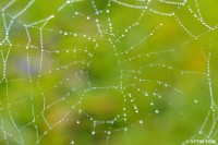 /album/%e7%a7%8b/%e6%99%82%e9%9b%a8%e3%81%ae%e5%bf%98%e3%82%8c%e7%89%a9%e3%80%80%ef%bd%9e%e9%9b%ab%e3%81%ae%e5%b7%a3%ef%bd%9e-jpg/